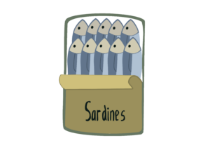 sardines dessin