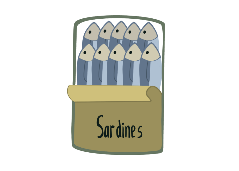 sardines dessin