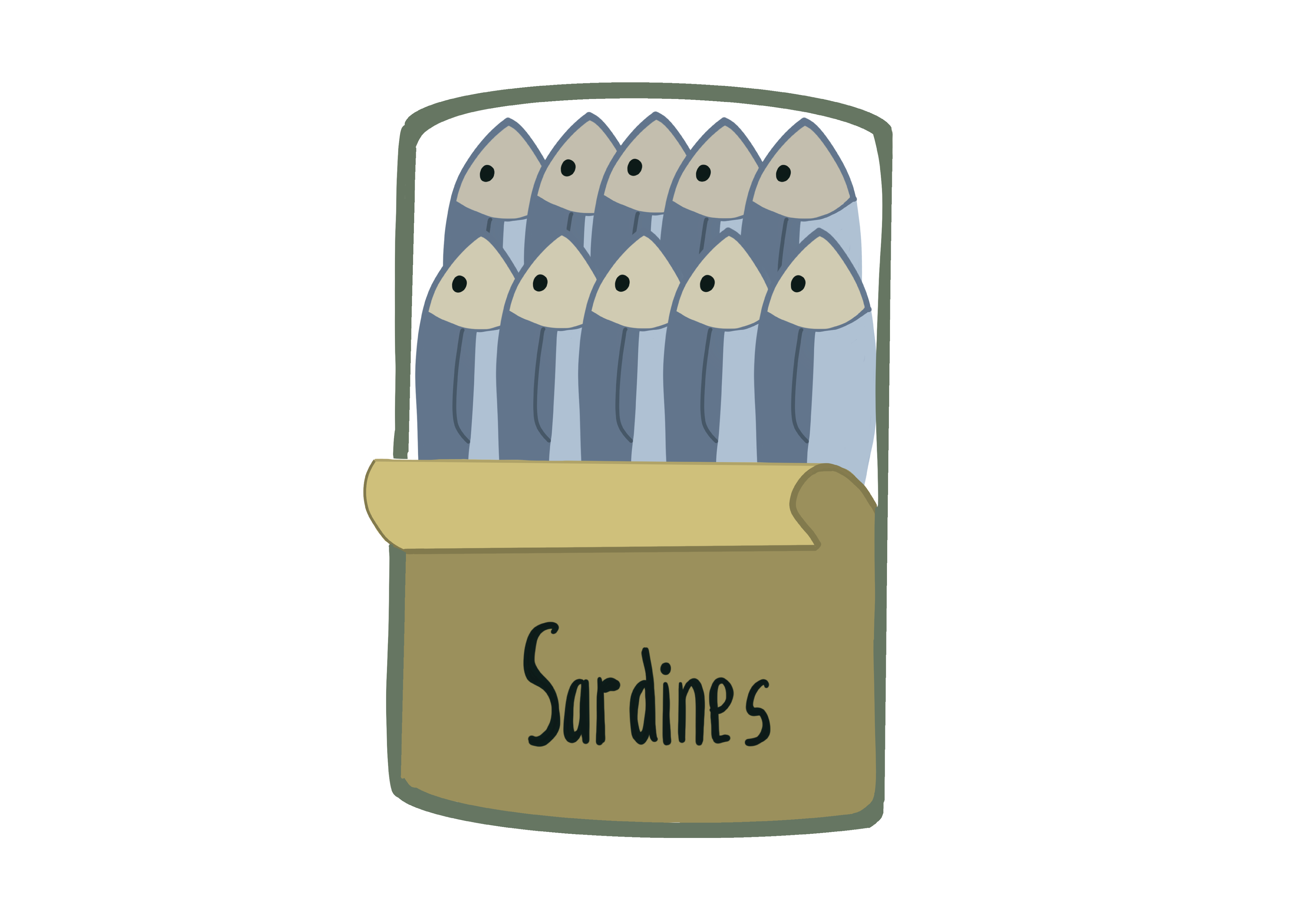 sardines dessin